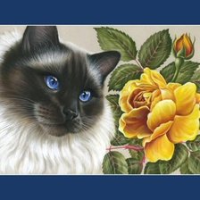 Cross stitch pattern: #341681