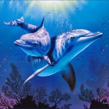 Cross stitch pattern: #341897