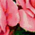 Preview of cross stitch pattern: #341936