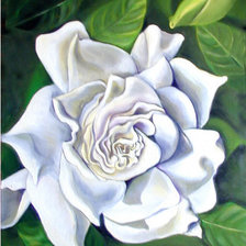 Cross stitch pattern: #342193