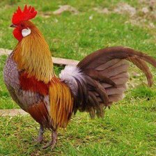 Cross stitch pattern: #342550