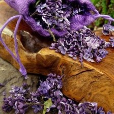 Cross stitch pattern: #343135
