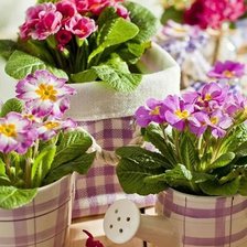 Cross stitch pattern: #343139