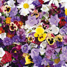 Cross stitch pattern: #343140