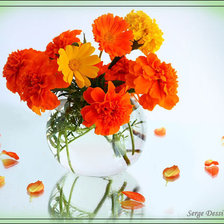 Cross stitch pattern: #343143