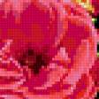 Preview of cross stitch pattern: #343482