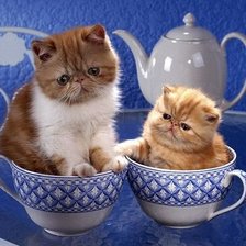 Cross stitch pattern: #343483