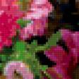 Preview of cross stitch pattern: #343488