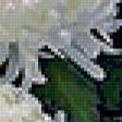 Preview of cross stitch pattern: #343489