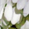 Preview of cross stitch pattern: #343492