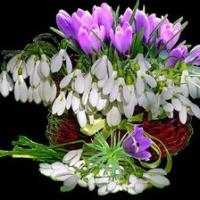 Cross stitch pattern: #343492