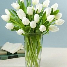 Cross stitch pattern: #343496