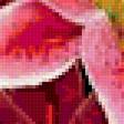 Preview of cross stitch pattern: #343497