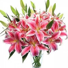 Cross stitch pattern: #343497