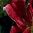 Preview of cross stitch pattern: #343499