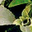Preview of cross stitch pattern: #343500