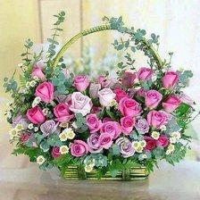 Cross stitch pattern: #343501