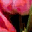 Preview of cross stitch pattern: #343504