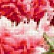 Preview of cross stitch pattern: #343512