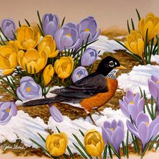 Cross stitch pattern: #343550