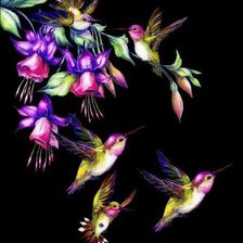 Cross stitch pattern: #343561