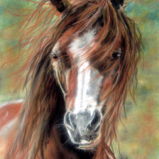 Cross stitch pattern: #343584