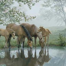 Cross stitch pattern: #343589