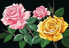 Cross stitch pattern: #343634
