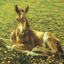 Cross stitch pattern: #344289