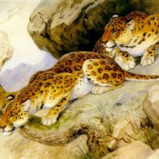 Cross stitch pattern: #344299