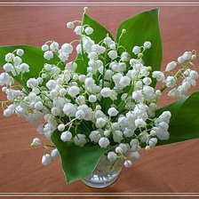 Cross stitch pattern: #345071