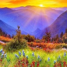 Cross stitch pattern: #345072