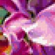 Preview of cross stitch pattern: #345077