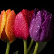 Cross stitch pattern: #345097