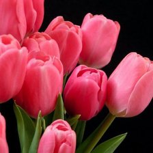 Cross stitch pattern: #345099