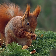 Cross stitch pattern: #345484