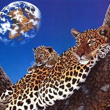 Cross stitch pattern: #345986