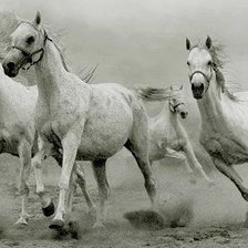 Cross stitch pattern: #346881