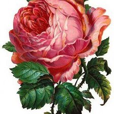 Cross stitch pattern: #346897