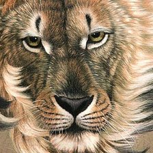 Cross stitch pattern: #346908
