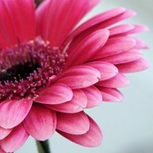 Cross stitch pattern: #346980