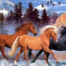 Cross stitch pattern: #346990