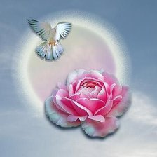 Cross stitch pattern: #347351