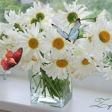 Cross stitch pattern: #347353