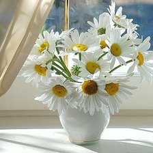 Cross stitch pattern: #347354