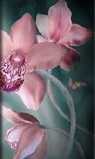 Cross stitch pattern: #347685