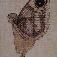 Cross stitch pattern: #347815