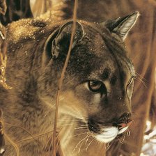 Cross stitch pattern: #348402