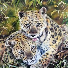 Cross stitch pattern: #348406