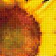 Preview of cross stitch pattern: #348412